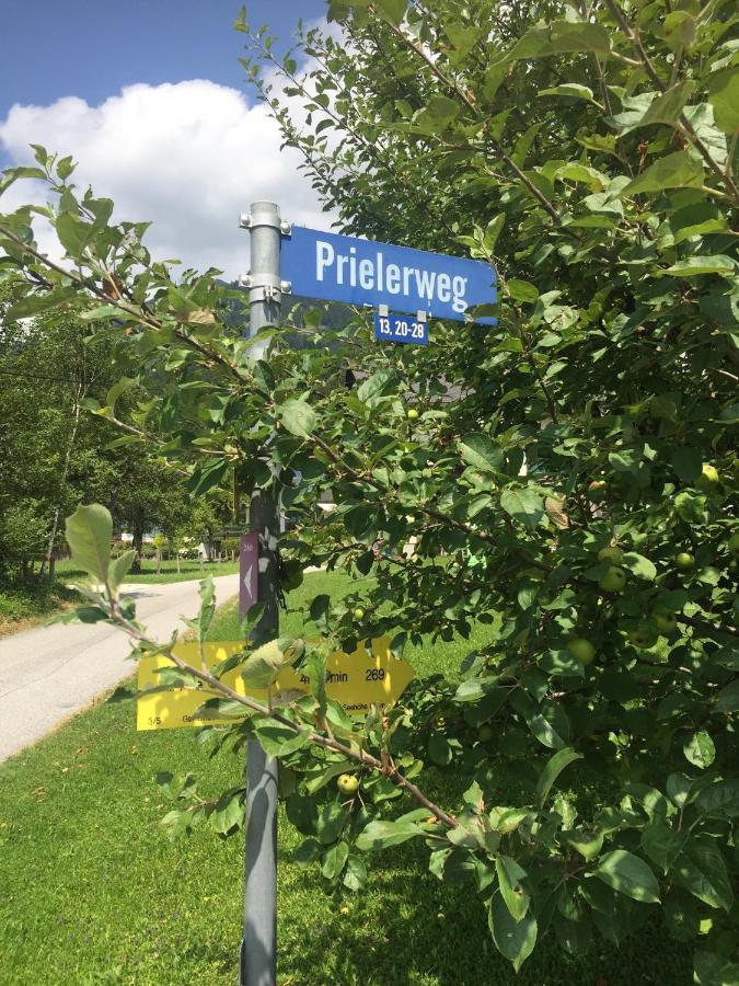 Exklusive Ferienwohnung Am Prielerweg In Hinterstoder Eksteriør billede